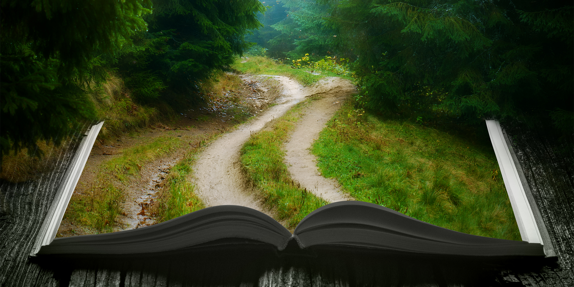 Nature-Inspired Design